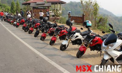 Honda MSX 125 Chiangmai - mini4temps.fr