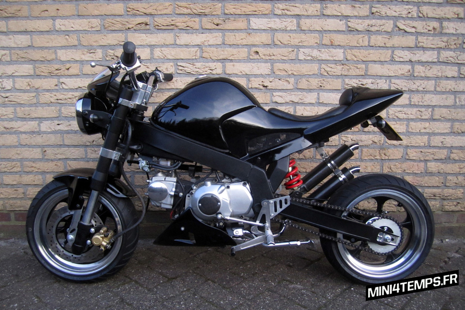 Skyteam PBR - Ducati Monster - mini4temps.fr