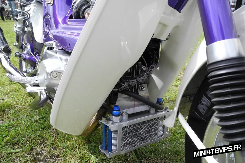 Honda Chaly Purple Lowrider - mini4temps.fr