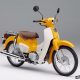 Un Super Cub C125 pour 2018 ! - mini4temps.fr