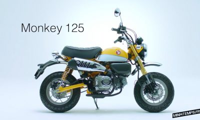 Nouveau Honda Monkey 125 2018 en France en 2018 !