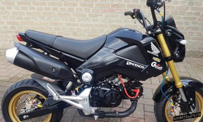 Honda MSX 125 modèle 2014 - mini4temps.fr