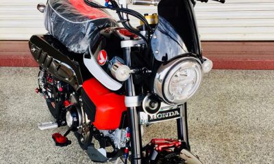 Honda Monkey 125 Black&Red - mini4temps.fr