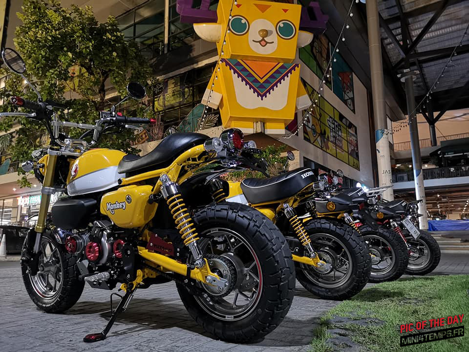 Pic of the day ! Honda Monkey 125 Club in Thailand - mini4temps.fr