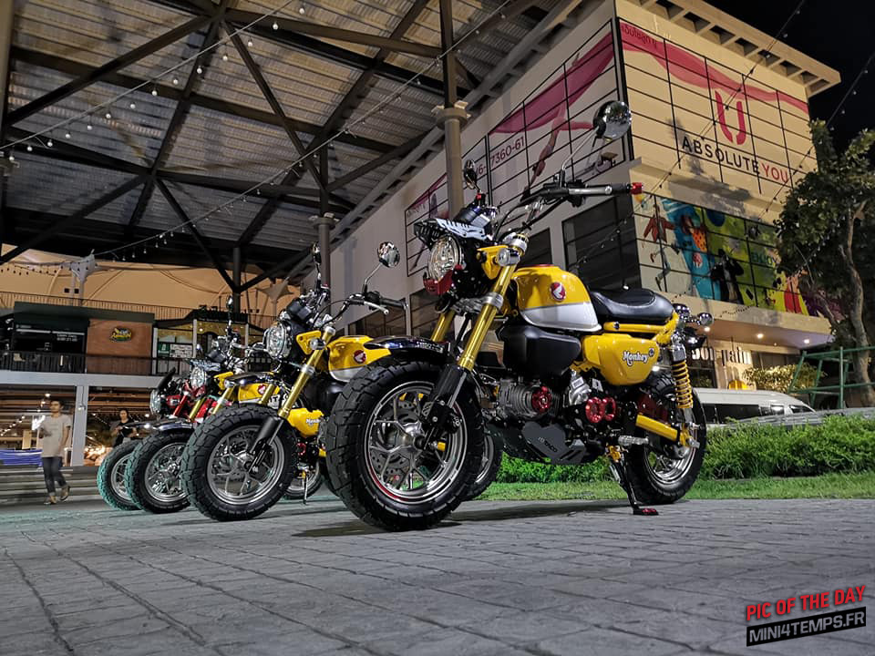 Pic of the day ! Honda Monkey 125 Club in Thailand - mini4temps.fr