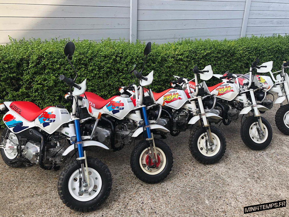 Des Honda Monkey Baja à vendre chez Corky's Daxshop ! - mini4temps.fr