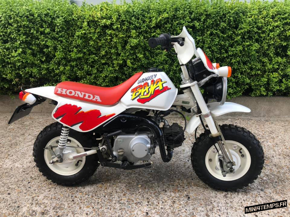 Des Honda Monkey Baja à vendre chez Corky's Daxshop ! - mini4temps.fr