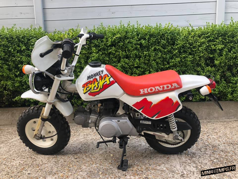 Des Honda Monkey Baja à vendre chez Corky's Daxshop ! - mini4temps.fr