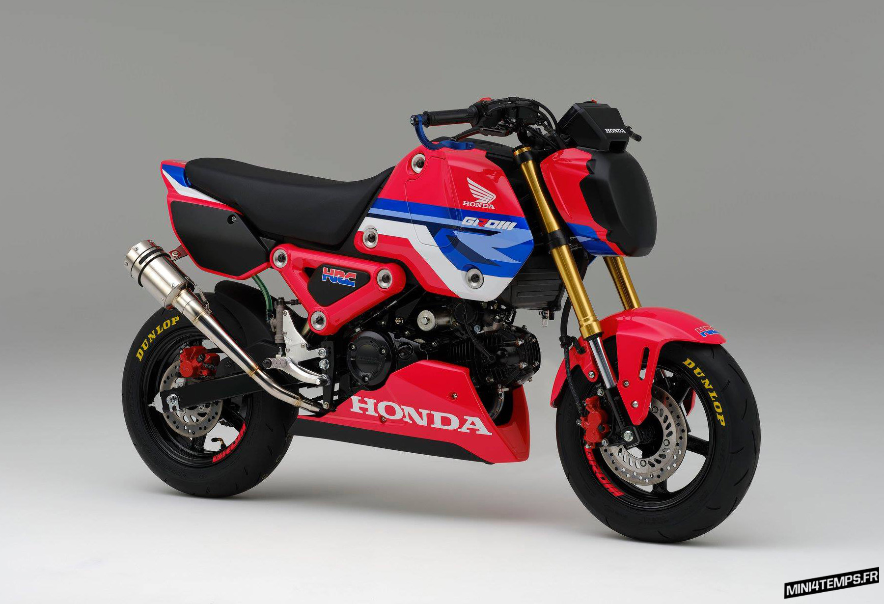 Un Honda MSX 125 customisé par le HRC / Grom 125 2021 - mini4temps.fr