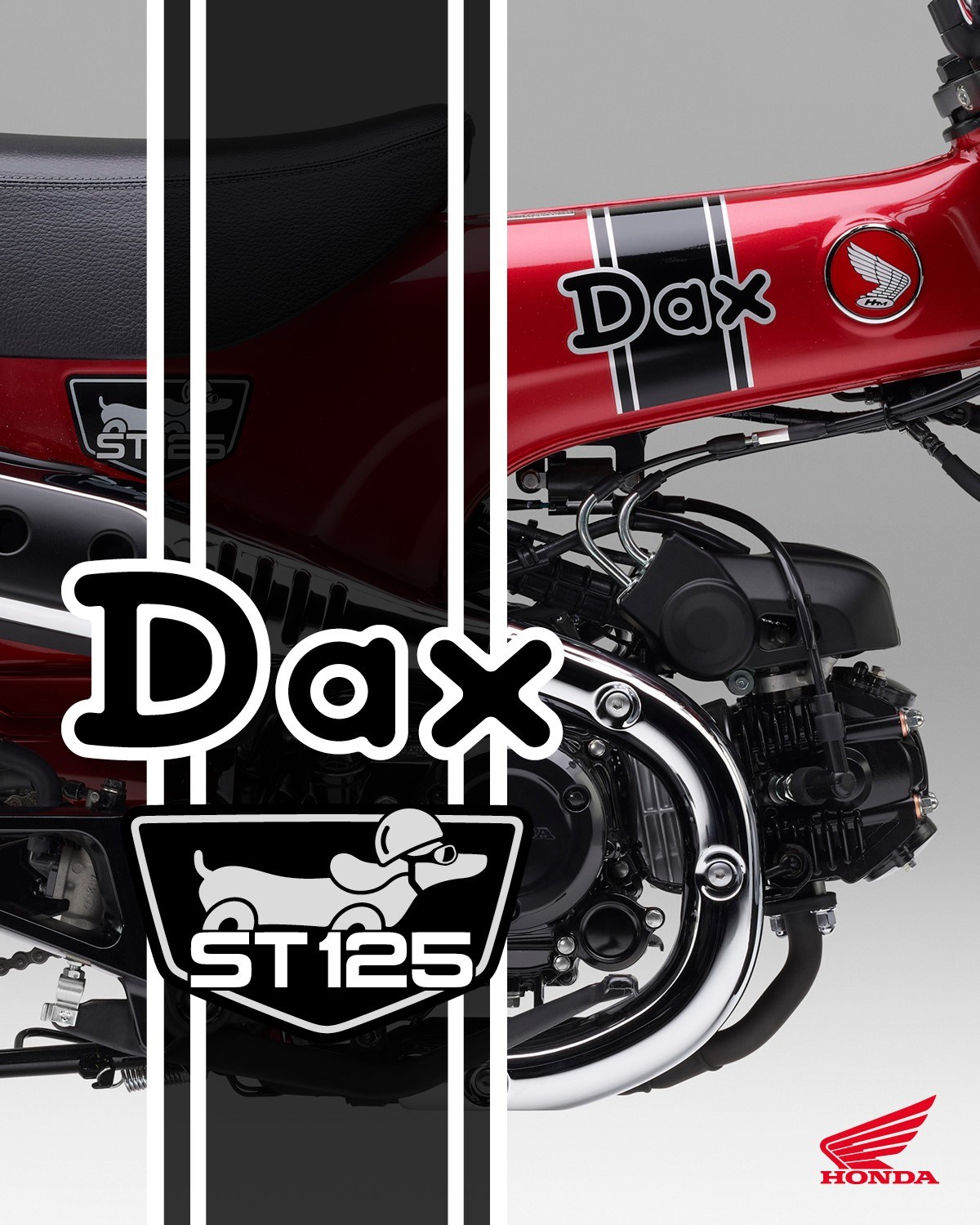 Le nouveau Honda Dax ST125 fait son grand retour ! - Mini4temps.fr