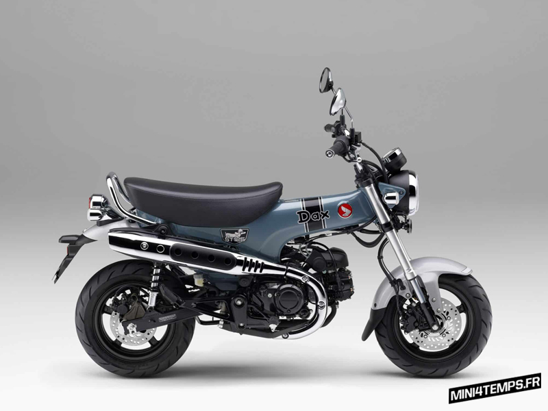 Nouveau Honda Dax ST125 2023 Gris Pearl Cadet - Mini4temps.fr
