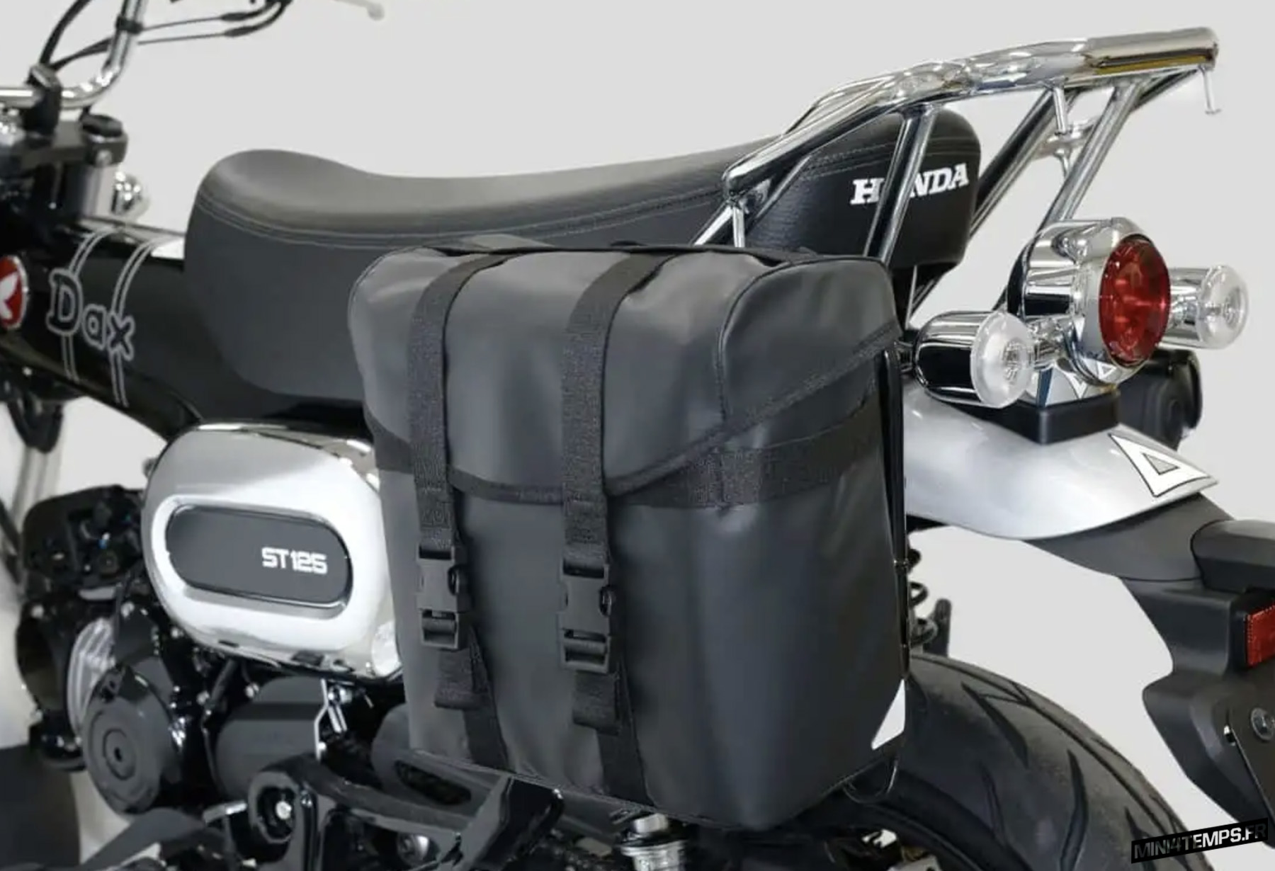 Une nouvelle couleur et de nouveaux accessoires pour le Honda Dax ST125 en août 2024 - Mini4temps.fr