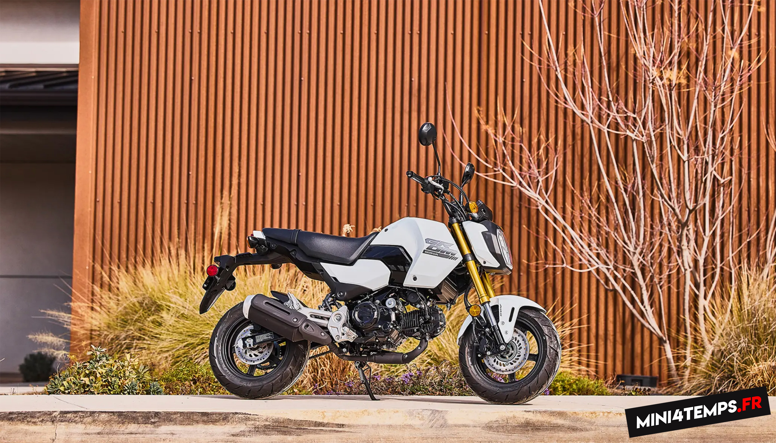 Honda MSX 125 GROM 125 2026 - Mini4temps.fr
