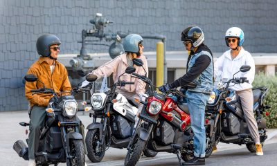 Honda Navi 2026 - Mini4temps.fr