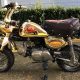 Honda Monkey Gold 1984 Limited Edition - mini4temps.fr